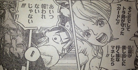 ワンピース てのひらをタイヨウに