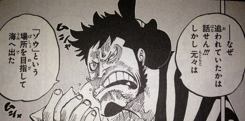 ワンピース てのひらをタイヨウに