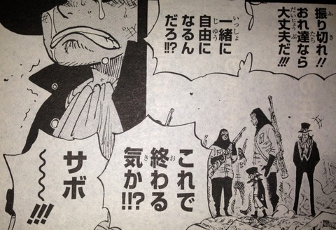 ワンピース てのひらをタイヨウに