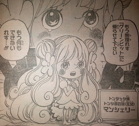 ワンピース てのひらをタイヨウに