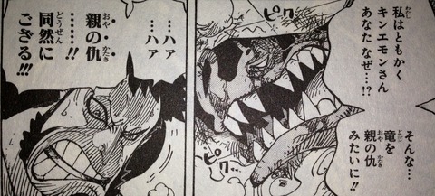 ワンピース てのひらをタイヨウに