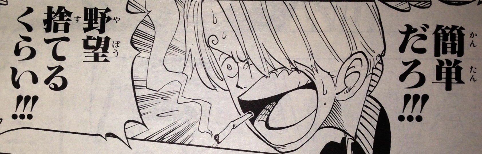 ワンピース てのひらをタイヨウに