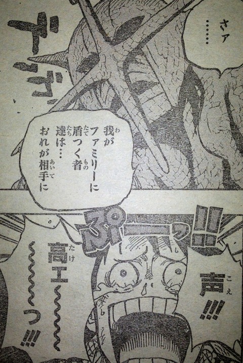 ワンピース てのひらをタイヨウに