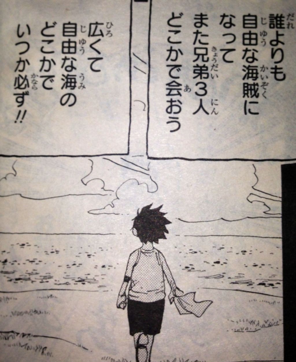 感想 てのひらをタイヨウに