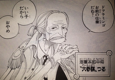 ワンピース てのひらをタイヨウに