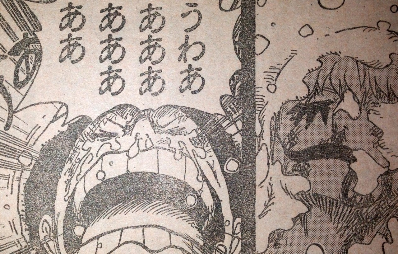 ワンピース てのひらをタイヨウに