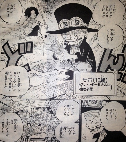 ワンピース てのひらをタイヨウに