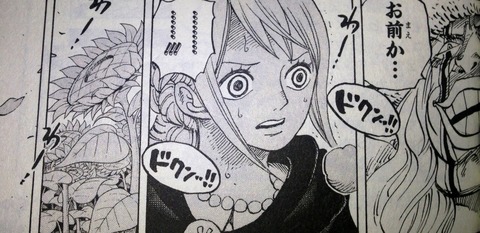 ワンピース てのひらをタイヨウに