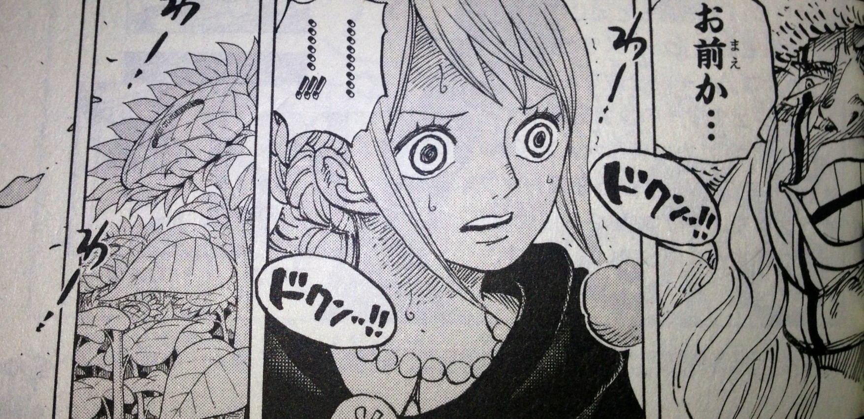 第777話 ゾロvsピーカ てのひらをタイヨウに