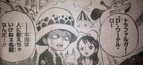 ワンピース てのひらをタイヨウに