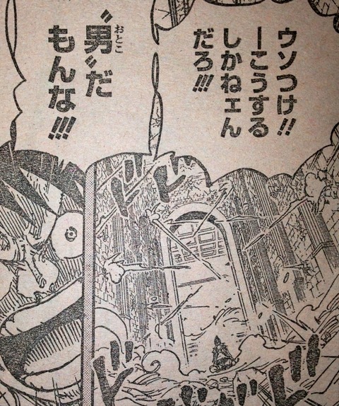 ワンピース てのひらをタイヨウに