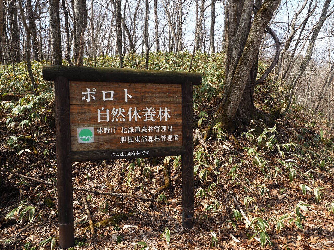 ポロトの森キャンプ場 山キャンオヤジの日録 ポロトの森キャンプ場 山キャンオヤジの日録