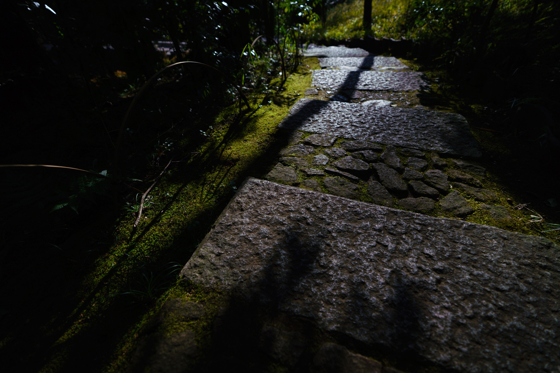 日本庭園のわびさび 根津美術館 2 Fe 16 35mm F2 8 Gm なんということでしょう 写真は楽し