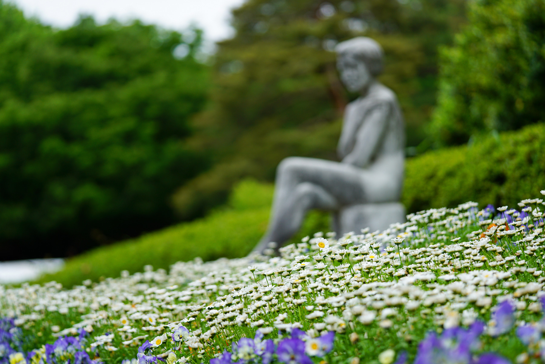 雨上がりの神代植物公園 深大寺 なんということでしょう 写真は楽し 雨上がりの神代植物公園 深大寺 なんということでしょう 写真は楽し