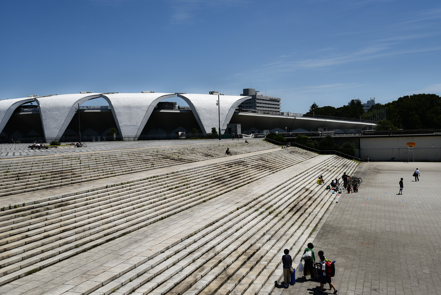 駒沢オリンピック公園 なんということでしょう 写真は楽し