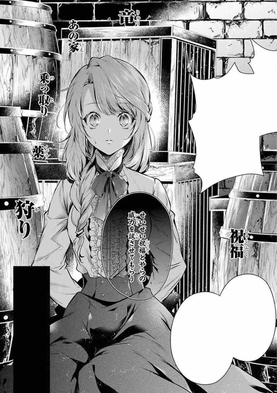 竜騎士のお気に入り 12話 スカルのskdbブログ