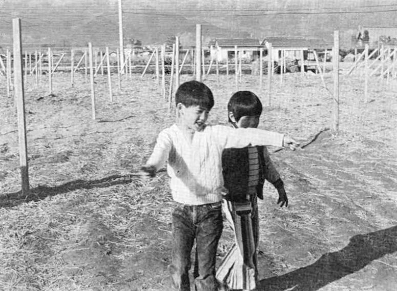 【UFO＆宇宙人系】当時世間を騒がせた『甲府UFO事件』って知ってる？