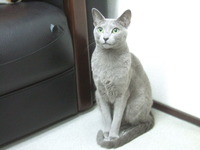 DSCF0055