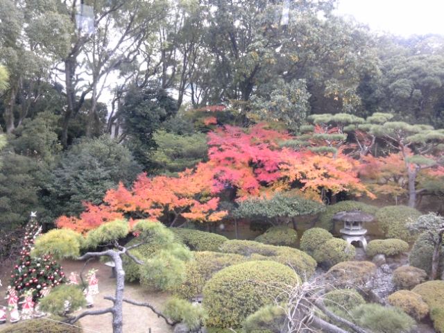 �쾾��š�ι���