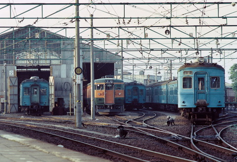 64376bd2-s.jpg