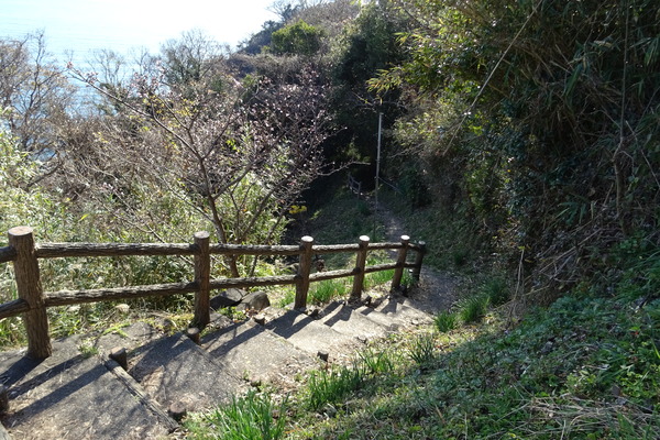 DSC08974