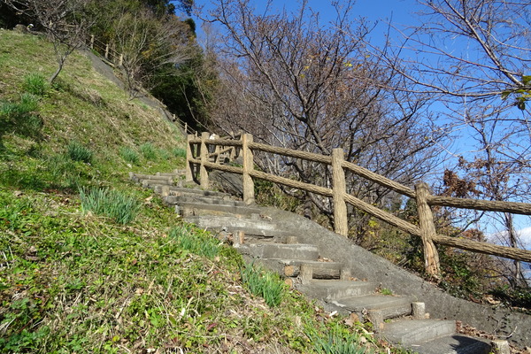 DSC08487