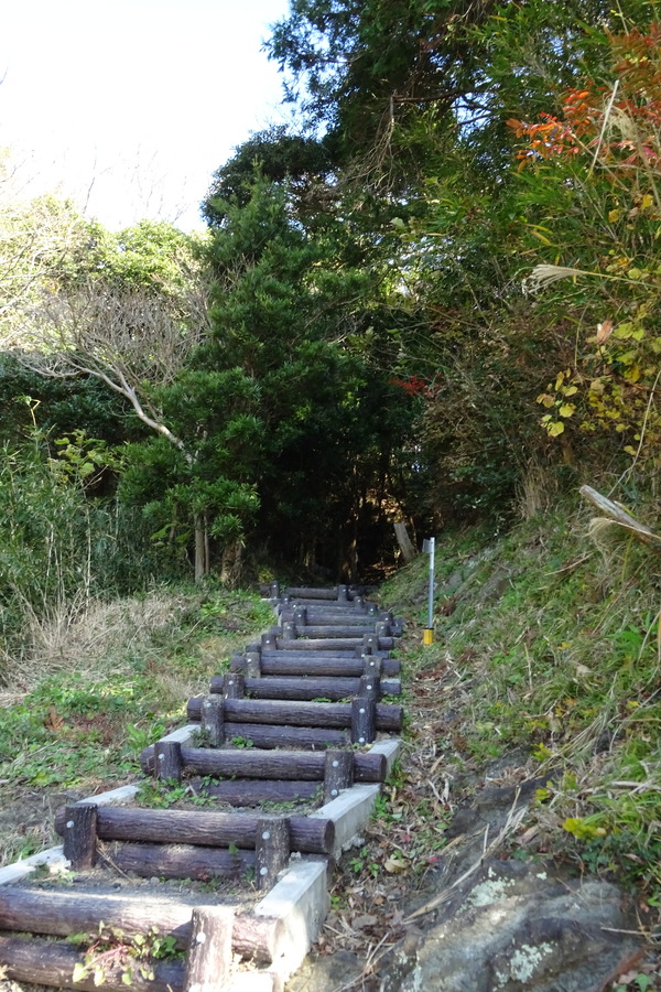 DSC08484