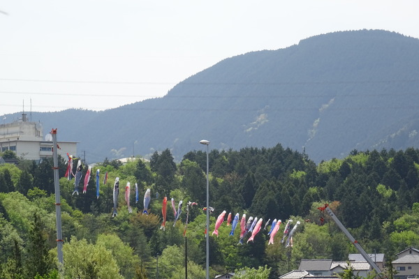 DSC05147