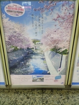 桜が咲けばこんな感じかな
