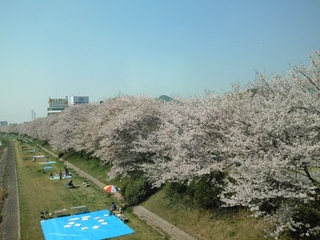 090412_102000_NEC_0083