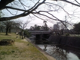 桜はぜんぜん咲いてましぇん