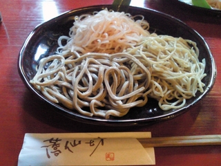 100425_120000_NEC_0689