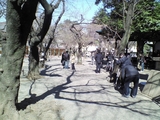 みよ、このひとだかり