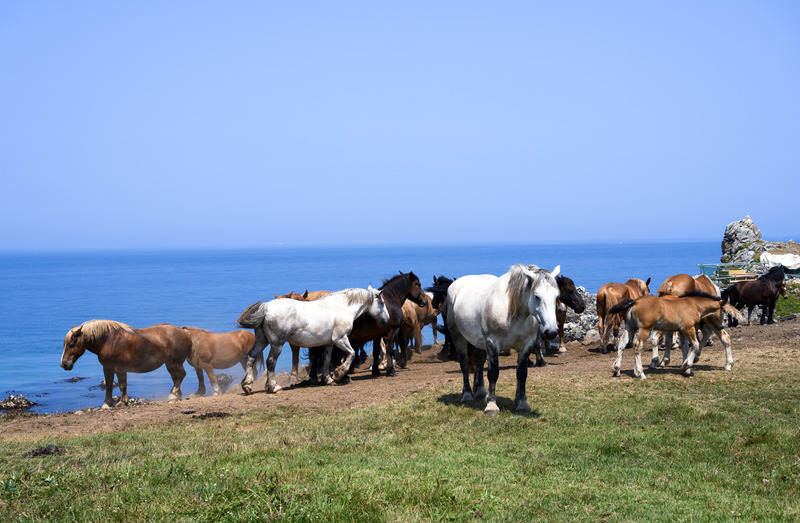 ヤフーブログ最後の投稿・尻屋DSC_0486