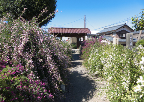376c0572.jpg