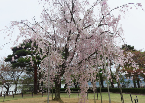 a37d780a.jpg