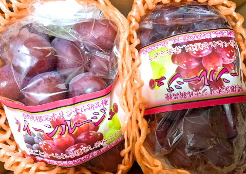 クイーンルージュ