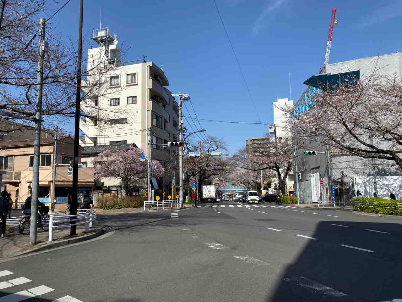 記録より記憶に残るって誰の言葉 はらりんブログ 記録より記憶に残るって誰の言葉 はらりんブログ