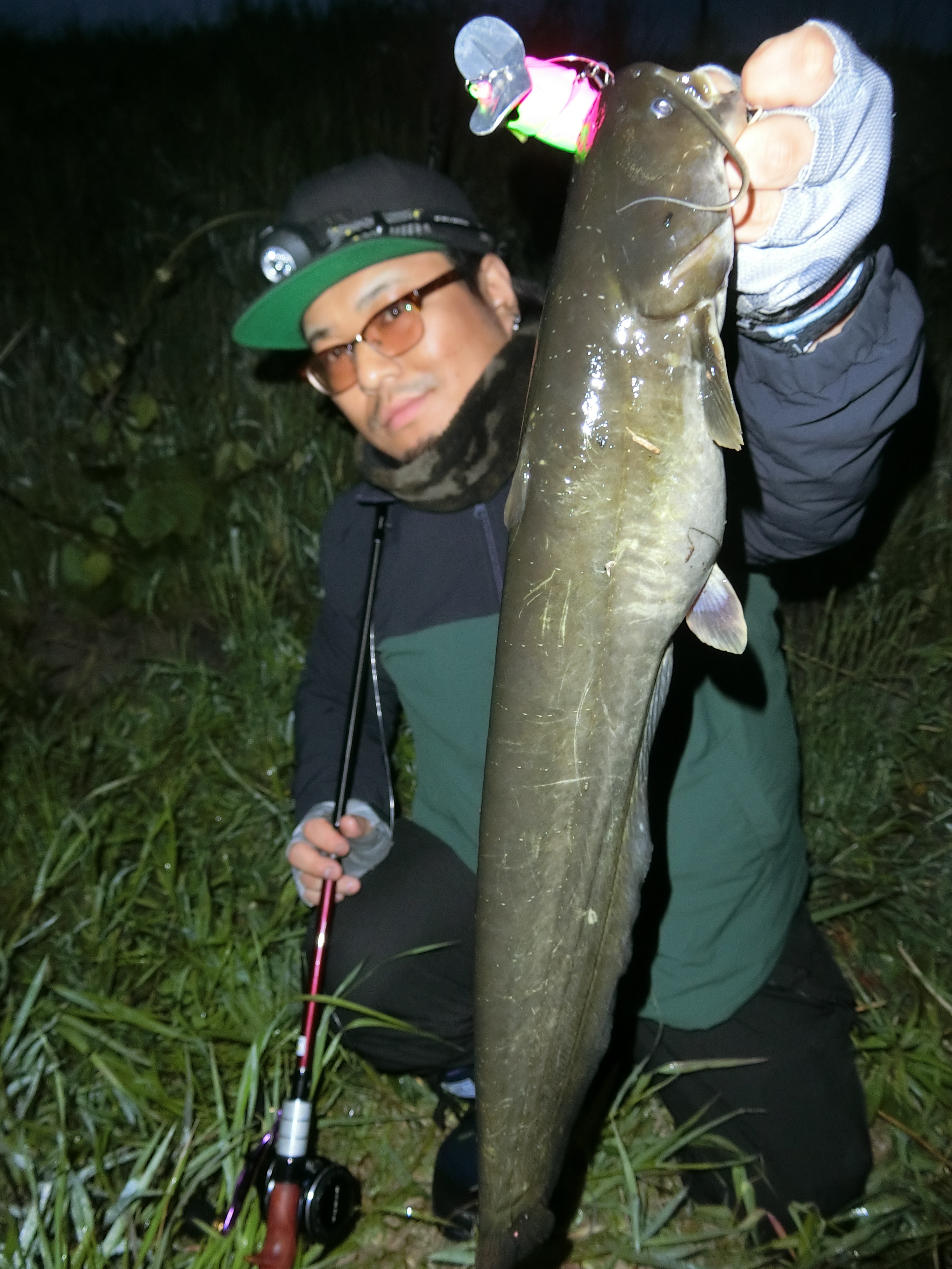 小川に潜む ヤツら たかちゃんの いやどうも日誌
