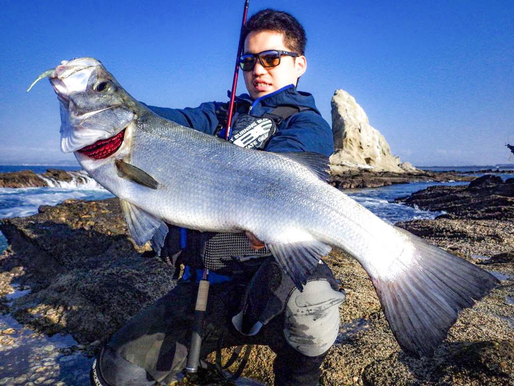 ベンダバール10.1M Fishman/フィッシュマン】BRIST VENDAVAL 10.1M（ベンダバール