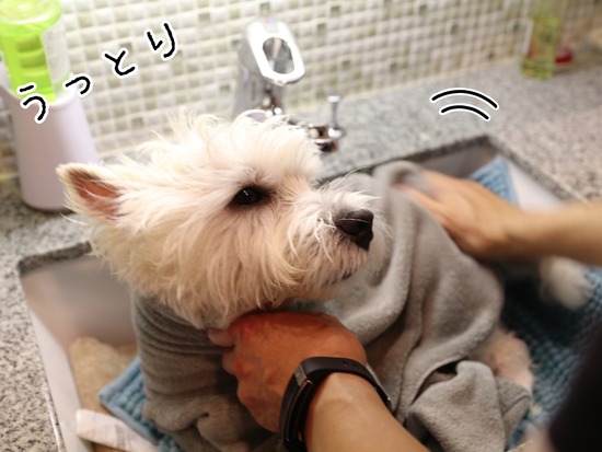 21-09-23-13-24-25-842_deco