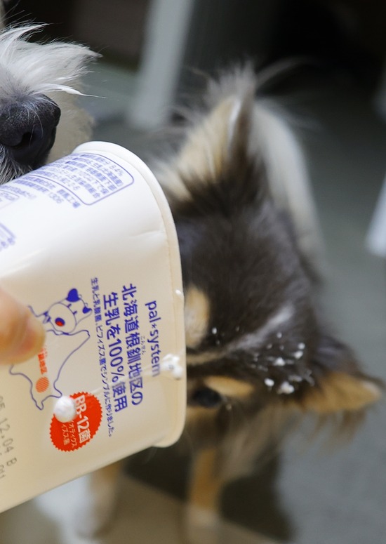 25-12-17-19-05-11-089_deco