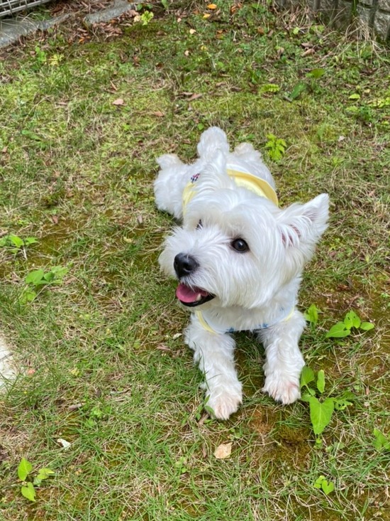 21-05-29-00-27-07-073_deco