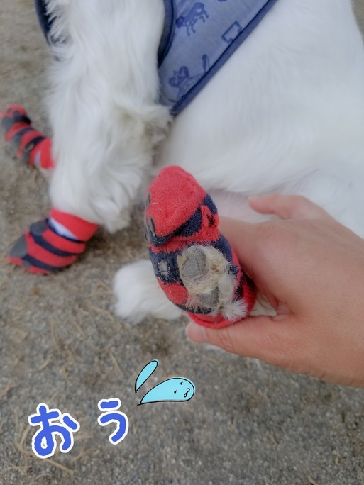 LRM_EXPORT_20180521_194053