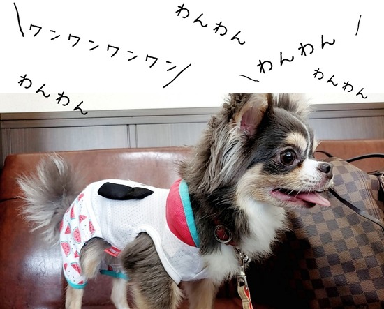 20-08-13-15-32-45-685_deco