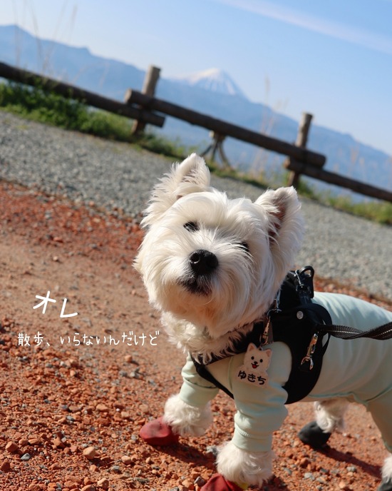 旅の朝