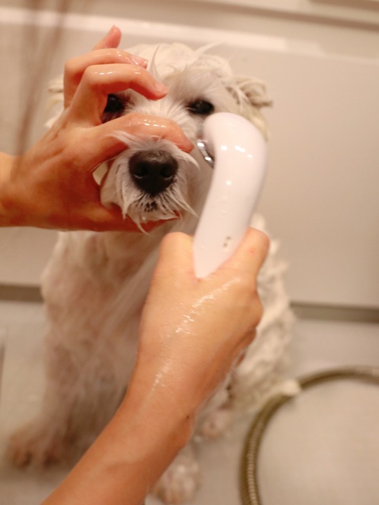 21-09-23-13-26-39-635_deco