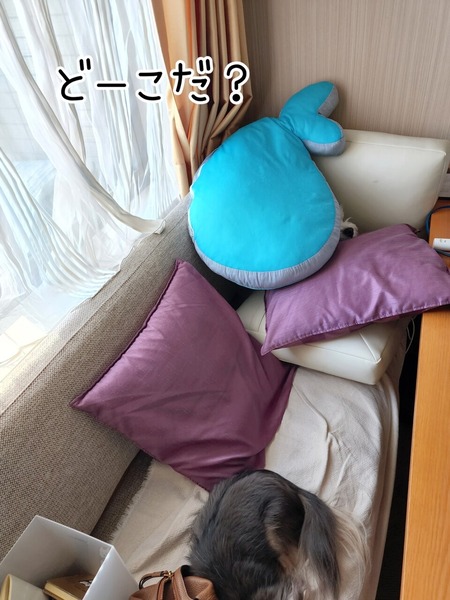 22-11-02-12-50-36-937_deco