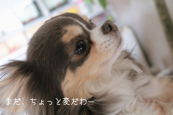 20-05-16-09-54-20-897_deco