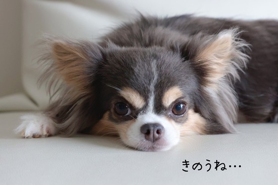 たらふくごめん。